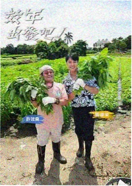 吞噬星空 动漫免费在线观看